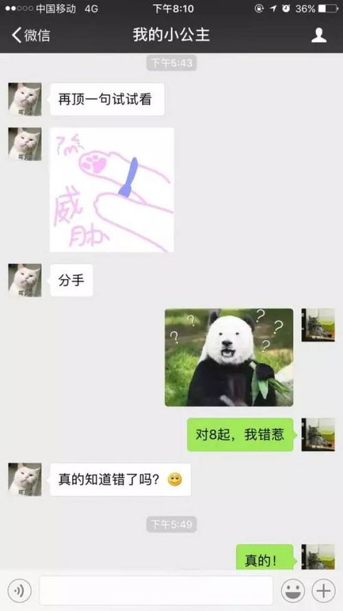 《道歉无难事，关键在套路——揭秘女生心中的完美道歉之道》