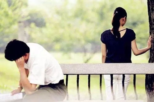 婚姻的裂痕：老公背叛与家暴现象解析