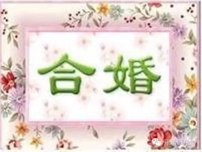 揭秘婚姻中的属相禁忌：真的有“相克”一说吗？