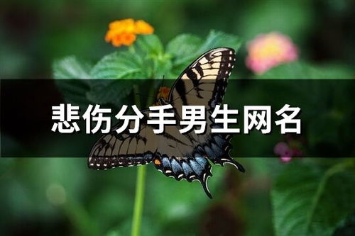 《分手后的心灵疗愈：如何用网名记录疗伤之旅？》