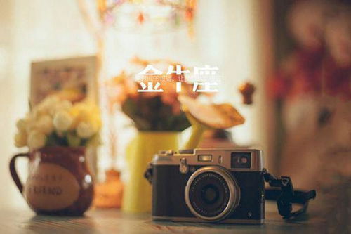 《如何巧妙挽回金牛女的心？揭秘心理战术与甜蜜攻略》