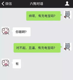 同居新篇章：如何开启男生同居日常的愉快对话？