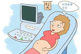 孕前检查发现另一半有乙肝？专家教你如何应对