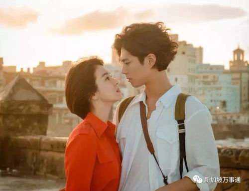 帅小伙约会男朋友，如何打造浪漫满分约会？