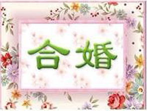 婚姻里没有爱情，你准备好了吗？
