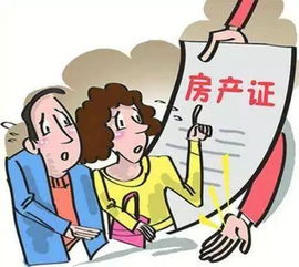 《婚后土地权益解析：另一半是否有份？揭秘土地分配之谜》