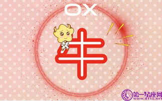 生肖女生谁最不能容忍？揭秘十二生肖中的“脾气王”