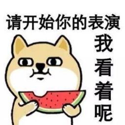 双子座男生与天蝎女孩：星座配对中的神秘魅力