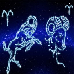 最主动的星座女：揭秘射手座的恋爱攻略